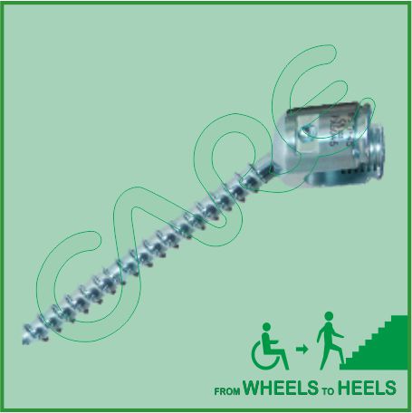 POLY AXIAL PEDICLE SCREW